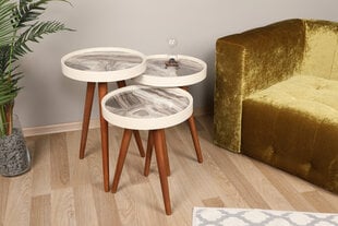 3-laua komplekt Kalune Design Neep, pruun/hall hind ja info | Diivanilauad | hansapost.ee