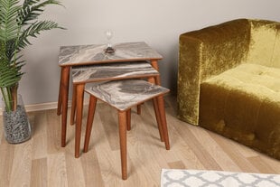 3-laua komplekt Kalune Design Siv, pruun/hall hind ja info | Diivanilauad | hansapost.ee