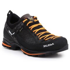 Сапоги мужские Salewa 613560933, черные цена и информация | Мужские ботинки | hansapost.ee