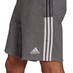 Meeste lühikesed spordipüksid Adidas Tiro 21 Sweat M GP8808 77815 hind ja info | Lühikesed püksid meestele | hansapost.ee