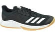 Spordijalatsid meestele Adidas Crazyflight Team D97701, mustad hind ja info | Spordijalatsid ja vabaajajalatsid meestele | hansapost.ee