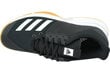 Spordijalatsid meestele Adidas Crazyflight Team D97701, mustad hind ja info | Spordijalatsid ja vabaajajalatsid meestele | hansapost.ee