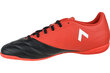 Meeste spordijalatsid Adidas Ace 17.4 IN BB1766, punane hind ja info | Spordijalatsid ja vabaajajalatsid meestele | hansapost.ee
