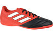 Meeste spordijalatsid Adidas Ace 17.4 IN BB1766, punane цена и информация | Spordijalatsid ja vabaajajalatsid meestele | hansapost.ee