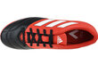 Meeste spordijalatsid Adidas Ace 17.4 IN BB1766, punane hind ja info | Spordijalatsid ja vabaajajalatsid meestele | hansapost.ee