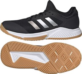 Спортивная обувь мужская Adidas Court Team Bounce EF2642, черная цена и информация | Кроссовки для мужчин | hansapost.ee