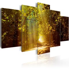 Maal - Forest in the Sunlight price and information | Wallpapers | hansapost.ee