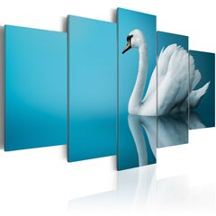 Maal - A swan in blue цена и информация | Картины, живопись | hansapost.ee