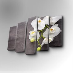 Репродукция из пяти частей Орхидея белая цена и информация | Репродукции, картины | hansapost.ee