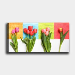 Репродукция Цветные тюльпаны цена и информация | Репродукции, картины | hansapost.ee