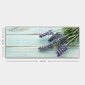 Reproduktsioon Lavendel цена и информация | Seinapildid | hansapost.ee