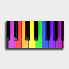 Reproduktsioon Värvilised klaveriklahvid hind ja info | Seinapildid | hansapost.ee