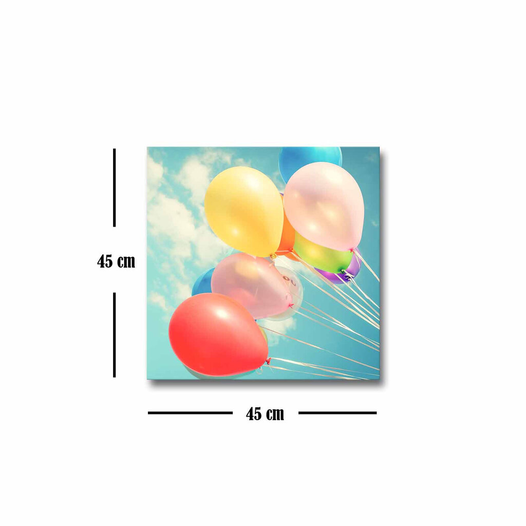 Pilt Õhupallid hind ja info | Seinapildid | hansapost.ee
