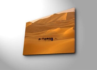 Репродукция Пустыня цена и информация | Репродукции, картины | hansapost.ee