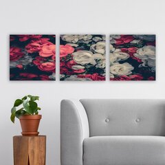 Kolmeosaline reproduktsioon Valged ja roosad lilled hind ja info | Seinapildid | hansapost.ee