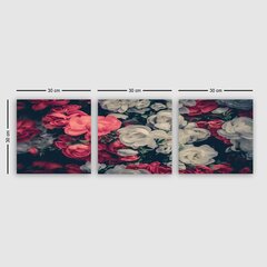 Репродукция из трех частей Белые и розовые цветочные цветы цена и информация | Репродукции, картины | hansapost.ee