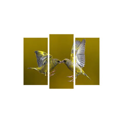 Репродукция из трех частей Желтые птицы цена и информация | Репродукции, картины | hansapost.ee