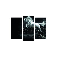 Воспроизведение трех частей Белой лошади между волками цена и информация | Репродукции, картины | hansapost.ee