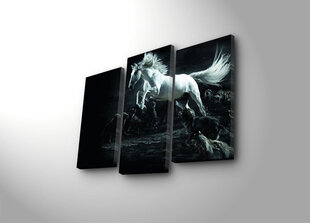 Воспроизведение трех частей Белой лошади между волками цена и информация | Настенные деревянные декорации | hansapost.ee