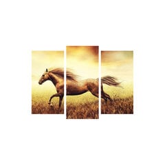 Репродукция из трех частей Конь в поле цена и информация | Репродукции, картины | hansapost.ee
