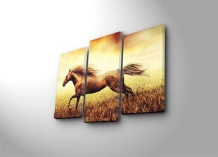 Репродукция из трех частей Конь в поле цена и информация | Настенные деревянные декорации | hansapost.ee