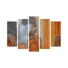 Репродукция из пяти частей Птица на заборе цена и информация | Настенные деревянные декорации | hansapost.ee