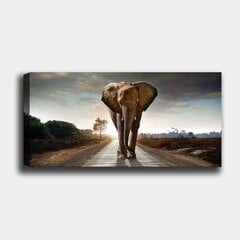 Репродукция Слон цена и информация | Настенные деревянные декорации | hansapost.ee