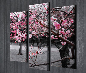 Viieosaline reproduktsioon Sakura цена и информация | Настенные деревянные декорации | hansapost.ee