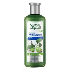 Šampoon Naturaleza y Vida Sensitive Kõõmavastane, 300 ml hind ja info | Šampoonid | hansapost.ee