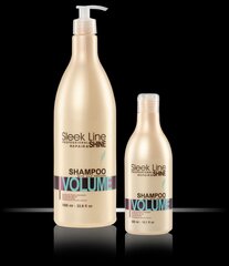 Stapiz Sleek Line Volume šampoon 1000 ml цена и информация | Шампуни | hansapost.ee