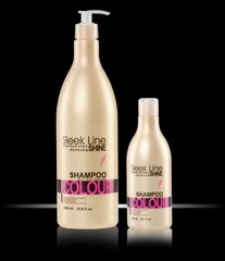 Stapiz Sleek Line Colour šampoon 300 ml цена и информация | Шампуни | hansapost.ee