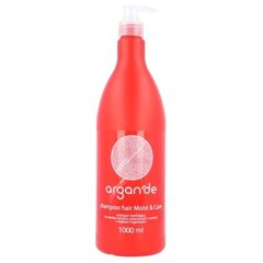 Stapiz Argan De Moist & Care šampoon 1000 ml цена и информация | Шампуни | hansapost.ee