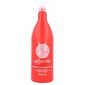 Stapiz Argan De Moist & Care šampoon 1000 ml hind ja info | Šampoonid | hansapost.ee