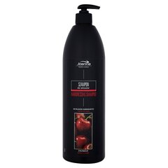 Šampoon värvitud juustele Joanna Professional 1000 ml hind ja info | Šampoonid | hansapost.ee