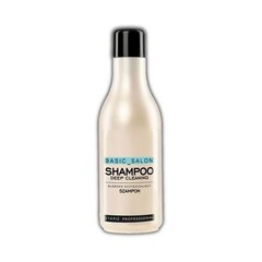 Stapiz Basic Salon Deep Cleaning šampoon 1000 ml цена и информация | Шампуни | hansapost.ee