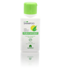Juukseid toitev šampoon Natura House Pura Natura 250 ml hind ja info | Šampoonid | hansapost.ee
