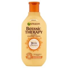 Šampoon kahjustatud juustele Garnier Botanic Therapy Honey & Propolis, 400 ml цена и информация | Шампуни | hansapost.ee