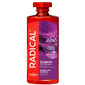 Taimsete ekstraktidega šampoon Farmona Radical 400 ml hind ja info | Šampoonid | hansapost.ee