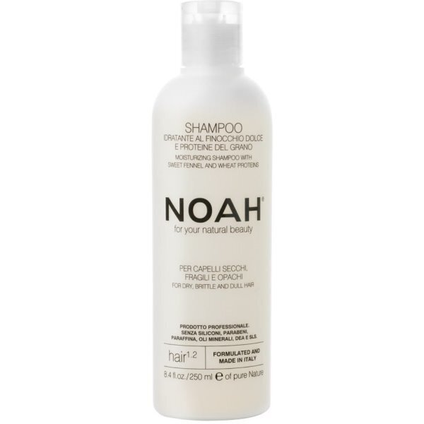 Šampoon kuivadele ja habrastele juustele Noah 250 ml цена и информация | Šampoonid | hansapost.ee