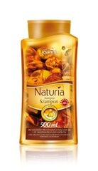 Šampoon rasustele juustele merevaigu ja biosulfuriga Joanna Naturia 500 ml цена и информация | Шампуни | hansapost.ee