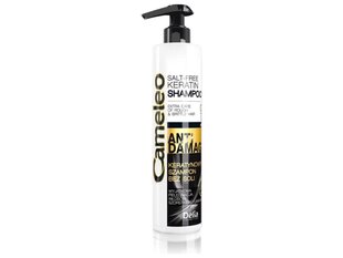 Taastav šampoon keratiiniga Delia Cosmetics 250 ml цена и информация | Шампуни | hansapost.ee
