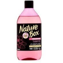 Šampoon juustele mandliõliga NATURE BOX Almond 385 ml цена и информация | Nature Box Духи, косметика | hansapost.ee