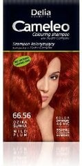 Tooniv šampoon Delia Camelio 40 g, 66.56 Wild Plum hind ja info | Šampoonid | hansapost.ee