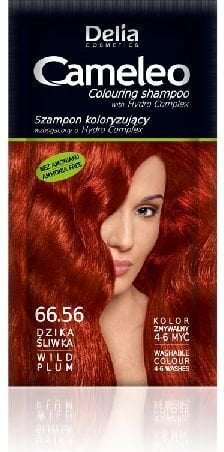 Tooniv šampoon Delia Camelio 40 g, 66.56 Wild Plum цена и информация | Šampoonid | hansapost.ee