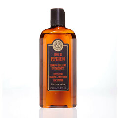 Šampoon ja palsam ühes Erbario Toscano Black Pepper meestele, 250 ml hind ja info | Šampoonid | hansapost.ee