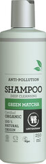 Šampoon kahjustatud juustele Urtekram Green Matcha 250 ml hind ja info | Šampoonid | hansapost.ee
