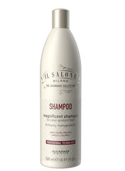 Šampoon värvitud juustele Alfaparf Il Salone Milano Magnificient 500 ml price and information | Shampoos | hansapost.ee