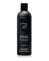 Värskendav šampoon meestele - Alfaparf Milano Blends Of Many Energizing Low Shampoo, 250 ml hind ja info | Šampoonid | hansapost.ee