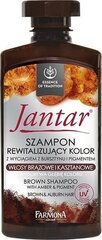 Цвет восстанавливающий шампунь для коричневых волос Farmona Jantar Colour Revitalising 330 мл цена и информация | Шампуни | hansapost.ee