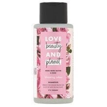 Šampoon värvitud juustele Love Beauty and Planet Blooming Colour 400 ml hind ja info | Šampoonid | hansapost.ee